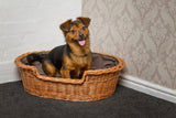 wicker basket for small dog